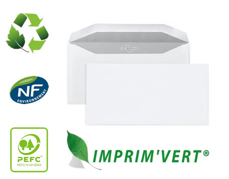 Envel'Offset, environnement et engagée dans le développement durable